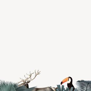 Wild animals iPhone wallpaper