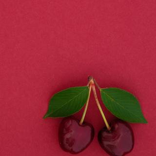 Cherry phone wallpaper