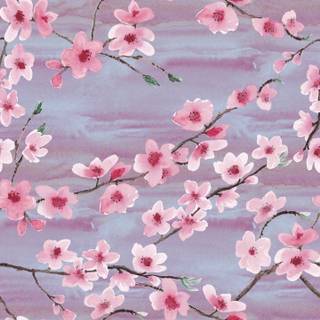 Cherry phone wallpaper