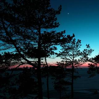 Dark landscape iPhone wallpaper