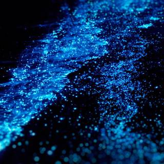 Mumbai iPhone wallpaper