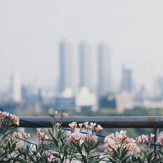 Mumbai iPhone wallpaper