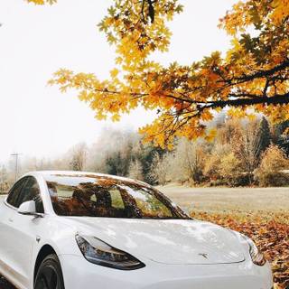 Tesla Model X iPhone wallpaper