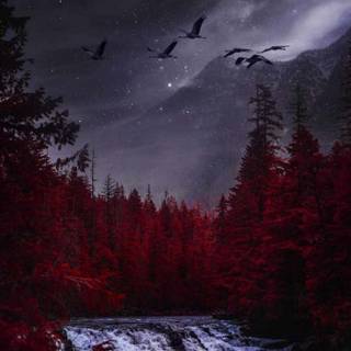 Dark landscape iPhone wallpaper
