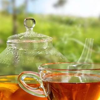 Tea iPhone wallpaper