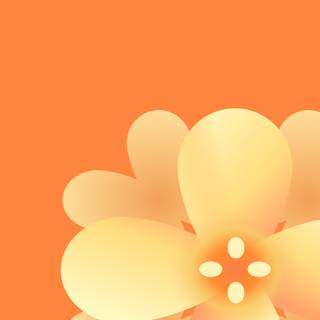 Motorola Razr 50 Ultra wallpaper