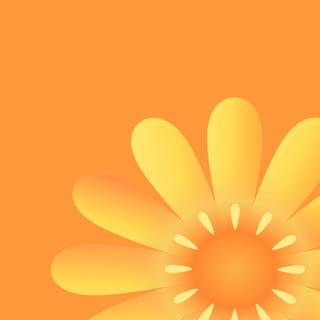 Motorola Razr 50 Ultra wallpaper