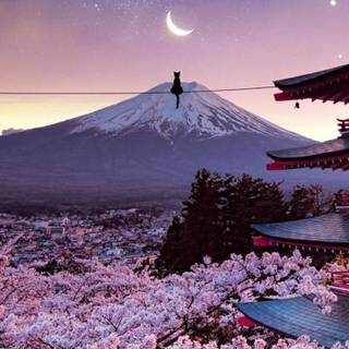 Japanese 4k mobile wallpaper