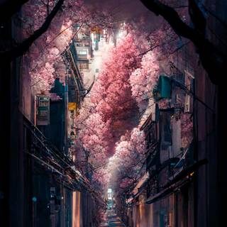 Japanese 4k mobile wallpaper