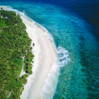 iPhone 12 beach wallpaper