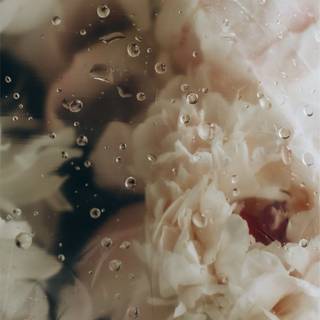 Sad aesthetic iPhone wallpaper