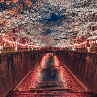 Tokyo night iPhone wallpaper