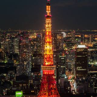 Tokyo night iPhone wallpaper