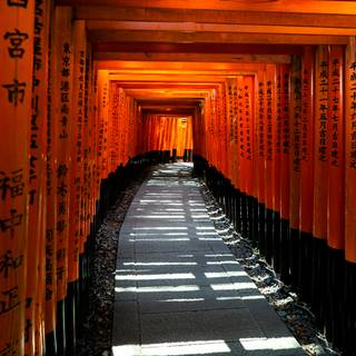 iPhone 12 Japan wallpaper