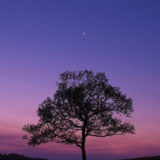 Dark sky iPhone wallpaper