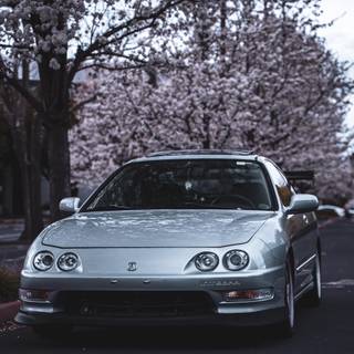 Integra iPhone wallpaper