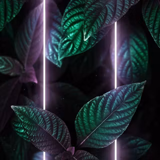 Neon lights iPhone wallpaper