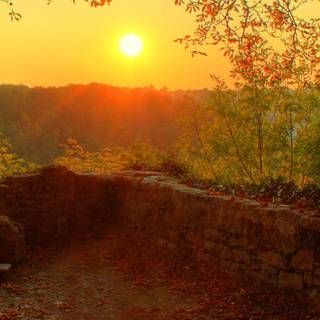 Retro sunset phone wallpaper