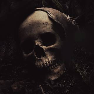 Creepy black wallpaper