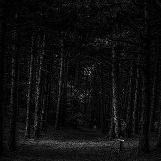 Creepy black wallpaper