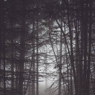 Creepy black wallpaper