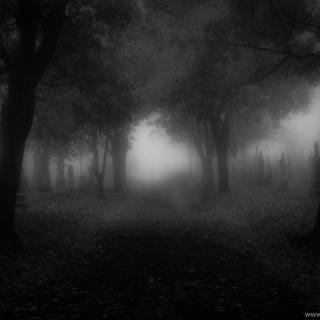 Creepy black wallpaper