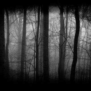 Creepy black wallpaper