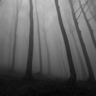 Creepy black wallpaper