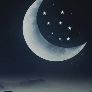 Half and Half wallpaper