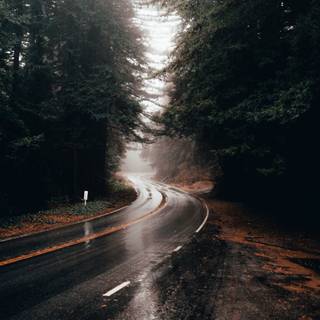 Rainy highway iPhone wallpaper