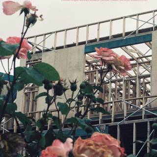 Saliba iPhone wallpaper