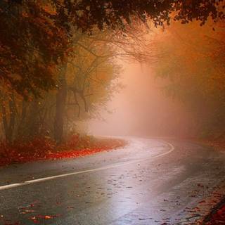 Rainy highway iPhone wallpaper