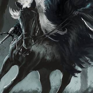 Black horse HD 4k iPhone wallpaper