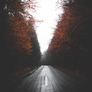 Rainy highway iPhone wallpaper