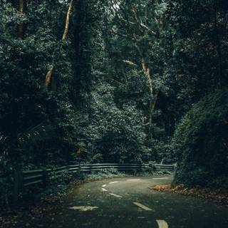 Rainy highway iPhone wallpaper