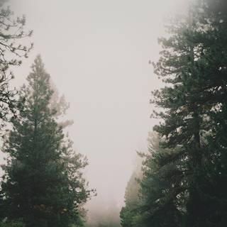 Rainy highway iPhone wallpaper