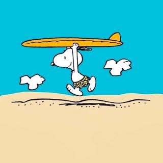 Snoopy summer iPhone wallpaper
