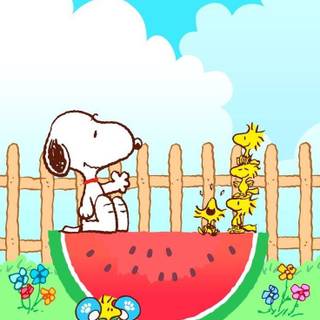 Snoopy summer iPhone wallpaper