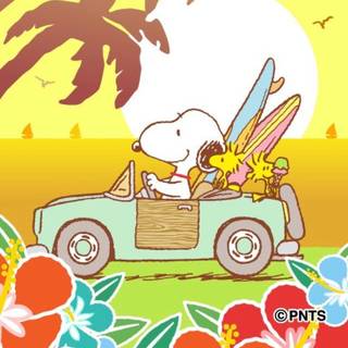 Snoopy summer iPhone wallpaper