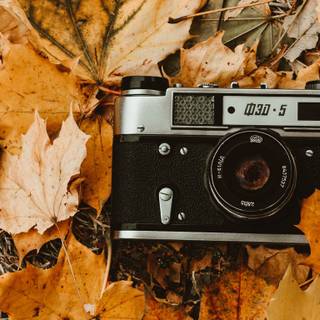 Vitage autumn wallpaper