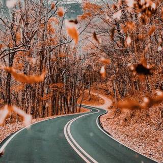 Vitage autumn wallpaper