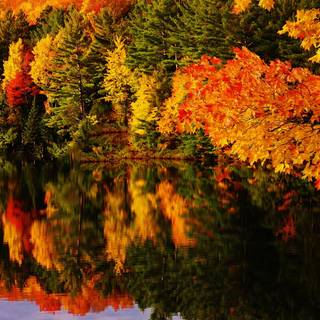 Autumn 4k HD wallpaper