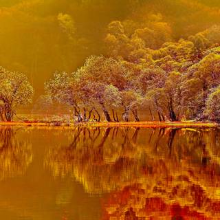 Autumn 4k HD wallpaper