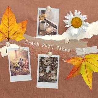 Cafe autumn desktop wallpaper