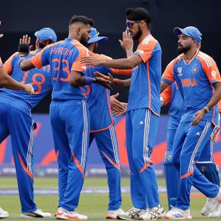 India World Cup 2024 wallpaper