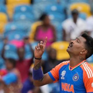 India World Cup 2024 wallpaper