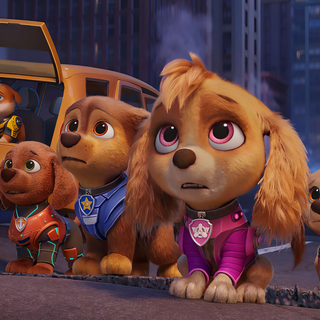 Paw Patrol Skye desktop wallpaper