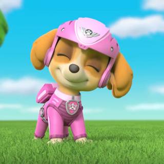 Paw Patrol Skye desktop wallpaper