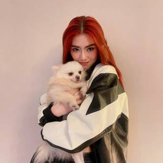 Bini Mikha wallpaper