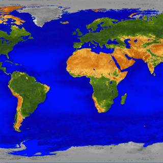 Satellite map wallpaper